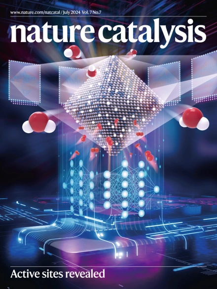 Overcoming limitations in non-activated alkene cross-coupling with nickel catalysis and anionic ligands